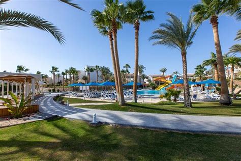 naama bay tx reviews